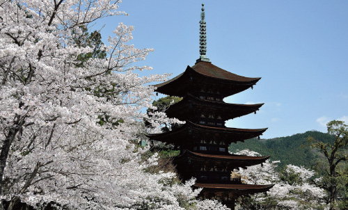 山口県山口市