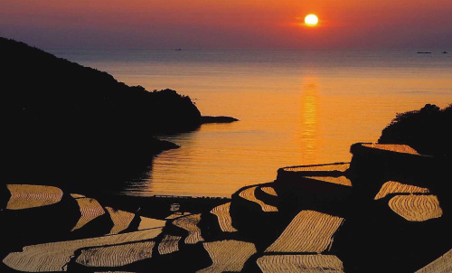 【佐賀県玄海町】浜野浦の棚田