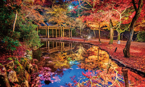 【広島県廿日市市】紅葉谷公園